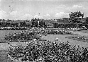 BG22035 bad driburg im rosengarten   germany CPSM 14.5x9cm