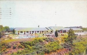 Virginia Newington The Hunter 1965