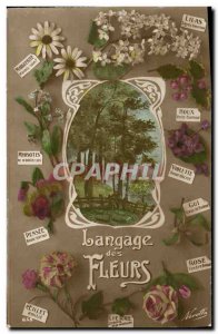 Old Postcard Fantasy Flowers of Language