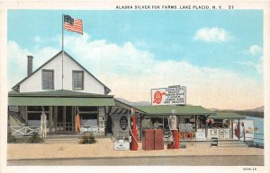 H99/ Lake Placid New York Postcard c1920s Alaska Silver Fox Farms  166