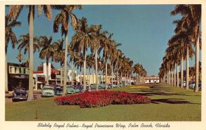 Palm Beach Florida~Stately Royal Palms on Royal Poinciana Way~50s Cars~Stores