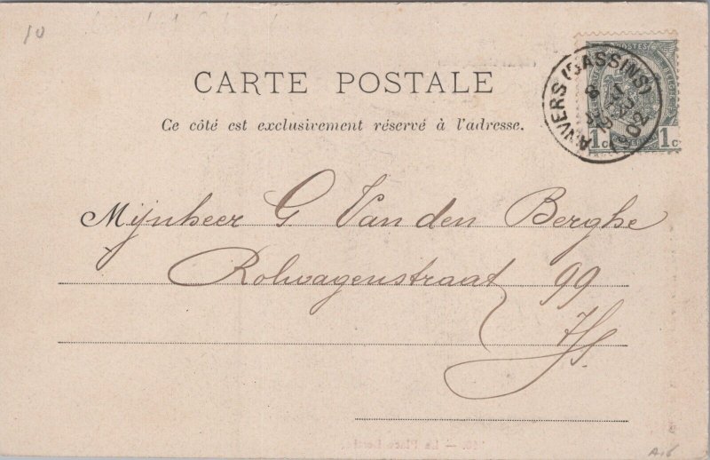 Martinique Saint Pierre La Place Bertin Postcard C343