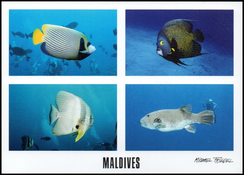 Maldivers Post card - View of sea (11), unused