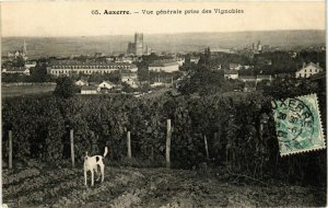 CPA Auxerre - Vue Generale prise des Vignobles FRANCE (960541)