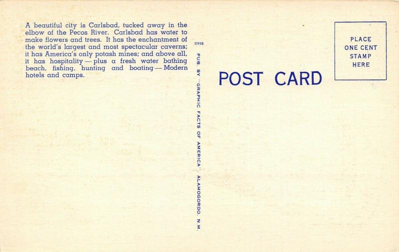 Carlsbad New Mexico~Large Letter Linen Postcard~Caves~Yucca~Desert~Cowboys~1940s 