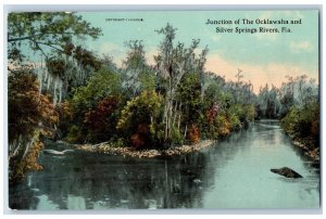 Silver Springs Rivers Florida Postcard Junction Ocklawaha c1910 Vintage Antique