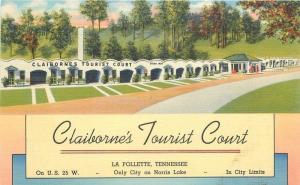 Clairborne's Tourist Court La Follette Tennessee Teich 1940s Postcard 13238