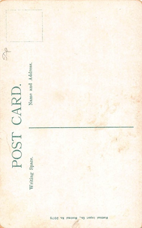 A893 Canada Quebec The Basilica vintage postcard