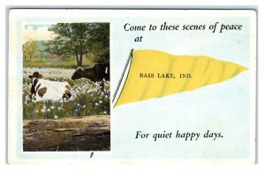 BASS LAKE, IN ~ PENNANT GREETING/View with Cows c1910s Starke County Postcard