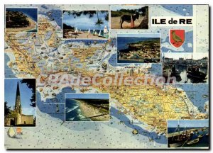 Postcard Modern I'Ile De Re Le Phare Whales Kit Shirt