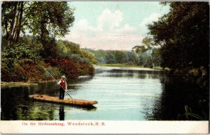 On the Meduxnekeag, Woodstock New Brunswick Vintage Postcard T30