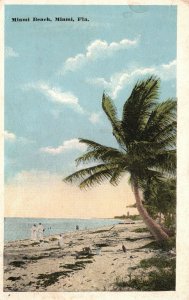 Vintage Postcard Miami Beach Scenic Wide Beaches Palm Tree Shades Miami Florida