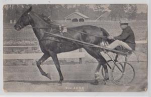 2 - Horse Racing, Buggy - The Abbe