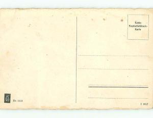 Divided-Back SKI - SKIING DOWN THE HILL IN GERMANY t3071