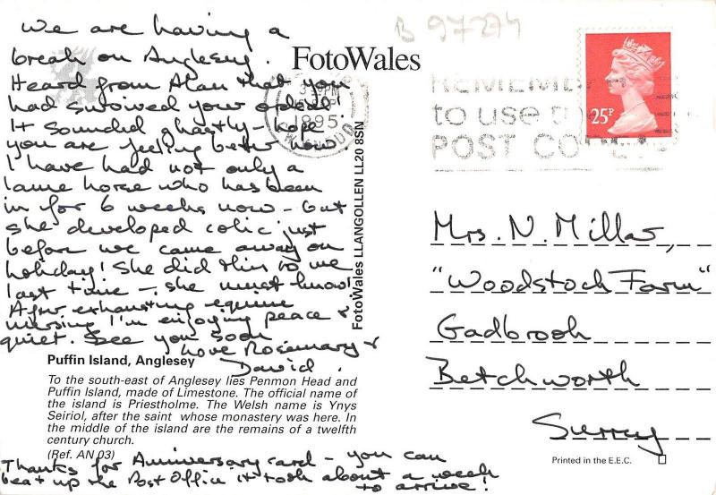 B97274 puffin islands anglesey wales