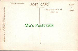 Scotland Postcard - Townhead, Newcastleton SW8555