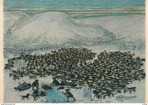 SWEDEN , 1950-70s ; Reindeer Herd