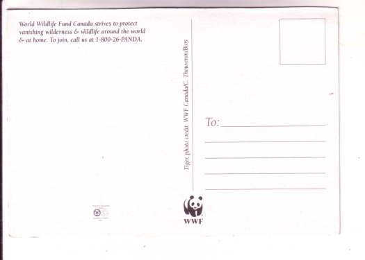 Closeup Tiger, World Wildlife Fund Vanishing Wilderness