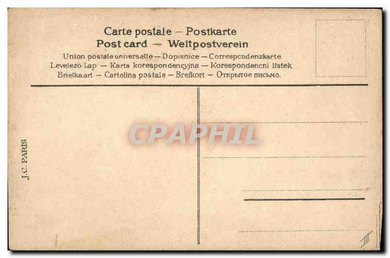 Old Postcard Hen Chicks