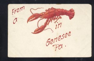 FROM A LOBSTER IN GENESEE PENNSYLVANIA PA. TO SHINGLE HOUSE PA. POSTCARD 1909