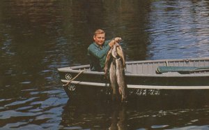 The Big Lunkers Boy Fishing Giant Fish Catch Vintage Postcard