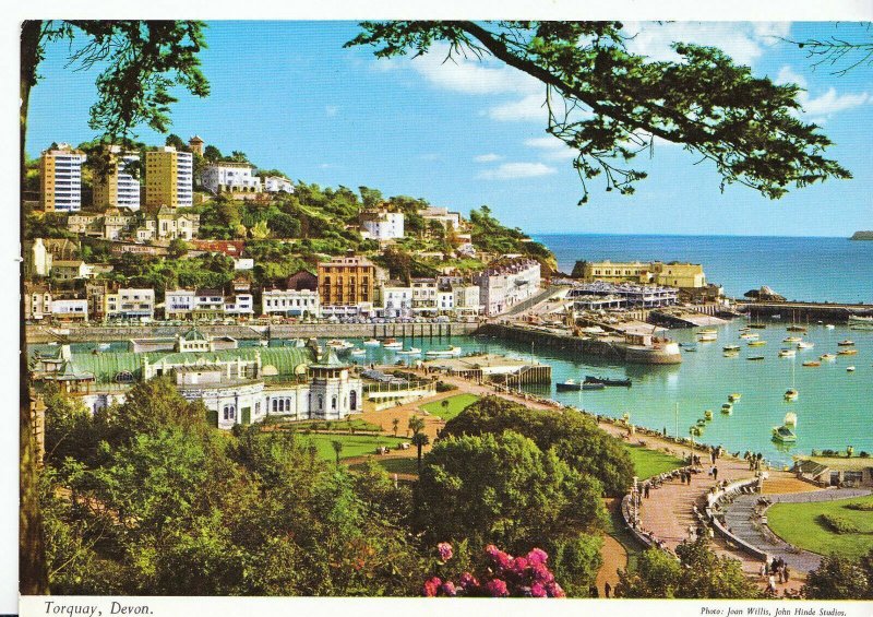 Devon Postcard - Torquay - Showing Houses    LC6040 