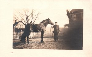 Postcard Real Photo Large Black Horse in Yard with Man Dressed in Black RPPC 