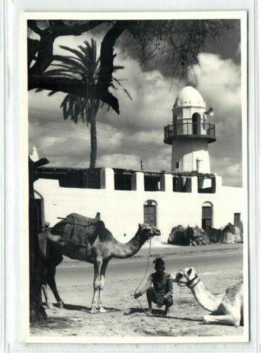 yemen, ADEN, Sheikh Othman, Mosque, Camel (1950s) RPPC