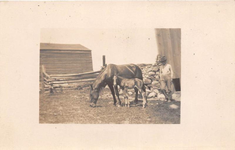 D92/ Horse Animal Real Photo RPPC Postcard c1910 Training Occupational Work 11