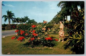 Poinsettias Royal Palms Nassau Bahamas Postcard UNP VTG Unused Vintage Chrome 