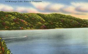 TN - Watauga Lake