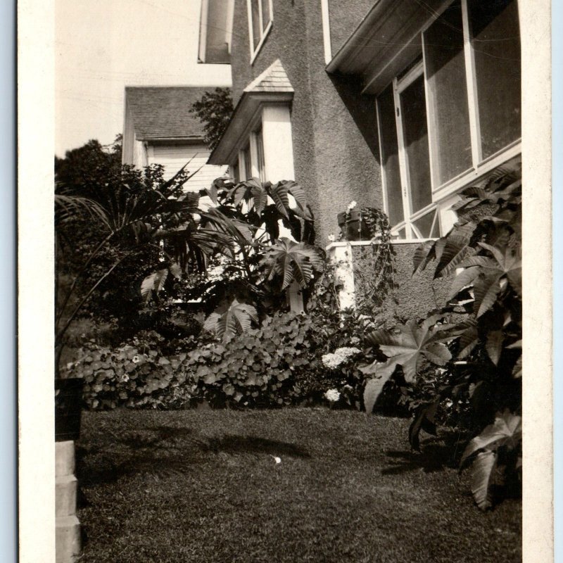 c1920 Outdoors House RPPC Plants Flowers Real Photo Postcard Antique Grass A96