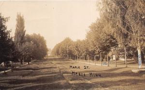 D7/ Mabel Minnesota Mn Real Photo RPPC Postcard 1912 Maple Street Homes