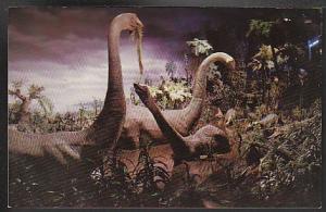 Primeval World Disneyland Post Card PPC473