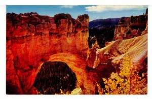 UT - Bryce Canyon Nat'l Park. Natural Bridge