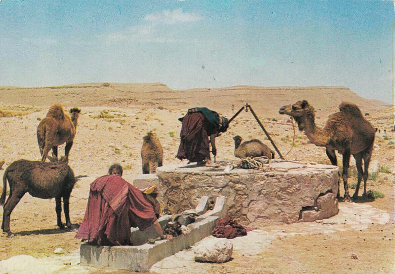 Tunisia ethnic life desert water source fountain postcard