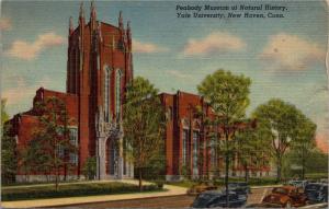 Peabody Museum of Natural History, Yale University New Haven CT Vtg Postcard L12