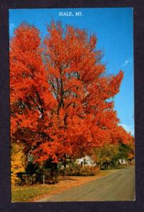 MI Scenic Road View in HALE MICHIGAN PC Postcard