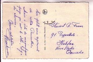 Swans, Flagey Place Ixelles, Brussels, Belgium,