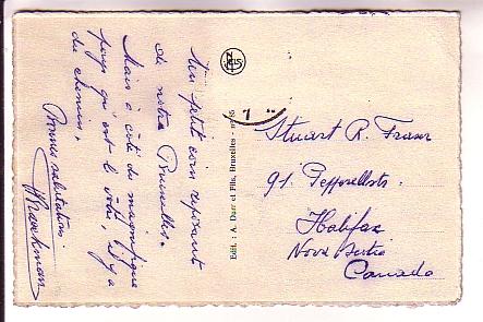 Swans, Flagey Place Ixelles, Brussels, Belgium,