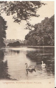 Middlesex Postcard - Longwater - Hampton Court Palace - Ref TZ5612