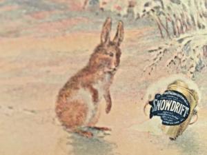 Postcard  Snowdrift Ad, featuring Bunny in Snow, Southern Cotton Oil, TX   Y2