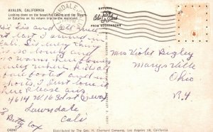 Vintage Postcard Looking Down The Casino & Steamer Catalina Avalon California CA