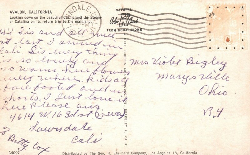 Vintage Postcard Looking Down The Casino & Steamer Catalina Avalon California CA