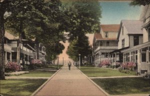 Chautauqua New York NY Vincent Ave Lake Chautauqua Vintage Postcard