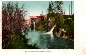 Albany, Oregon - Falls on the Calapooia River - c1905