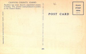 Linen Era,Large Letter, Canyon County, Idaho, Old Postcard 