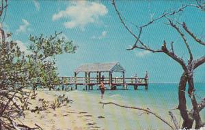 Florida Sanibel Island The Old Fishing Pier