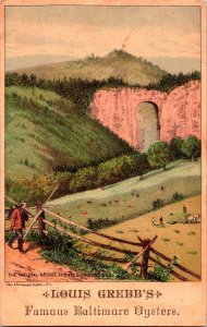 Louis Grebb Oyster & Fruit Packer Natural Bridge Antique Victorian Trade Card