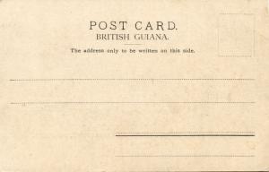 british guiana, GEORGETOWN DEMERARA, Main Street, Government House (1899)